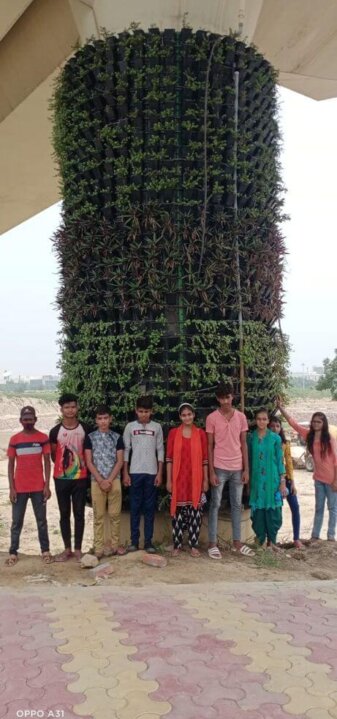 Birds_Nest_5